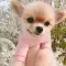 Foster Emily_62