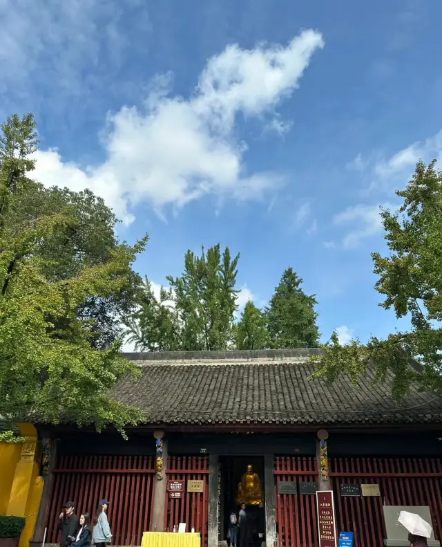 Chengdu | The Spirited Wenshu Monastery!