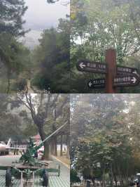 這不是在青島，這是武漢「熊延弼公園」