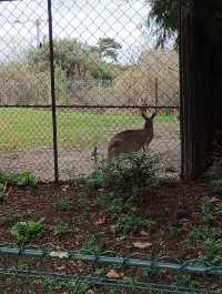 巴黎植物園