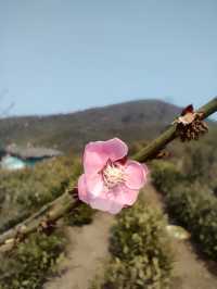 每週一山遊記|烏石古道新手徒步爬山攻略