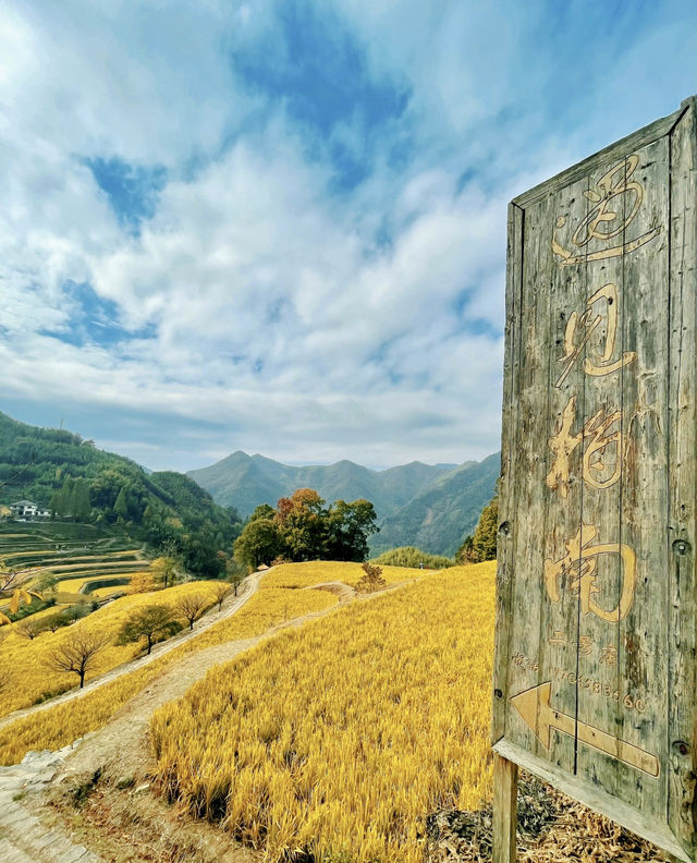 全球追秋｜杭州指南村遇見美麗秋景