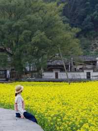 強烈建議：逛完這幾個油菜花古村再離開婺源