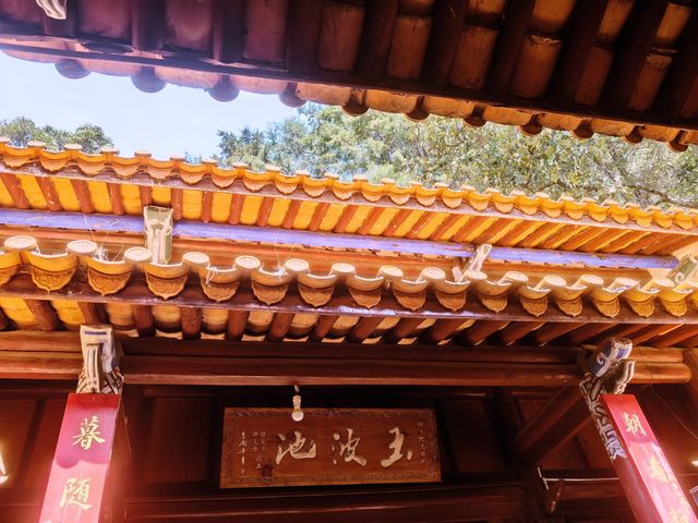 抚仙湖萬松寺（免票、免停車費）｜｜你玩得可真花啊！