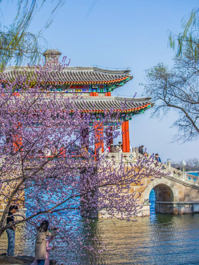 Fairy tale  summer palace🏛️🌸