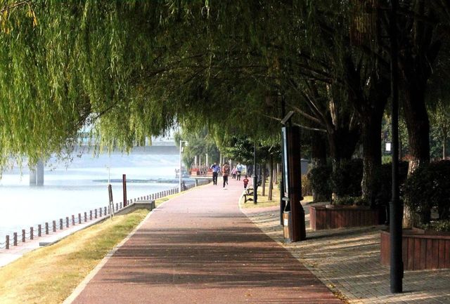 沙澧河風景區