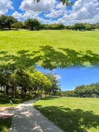 我宣布這是深圳公園天花板