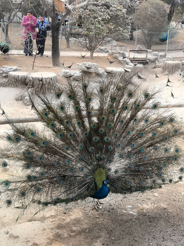 濟南週六週日親子旅遊好去處