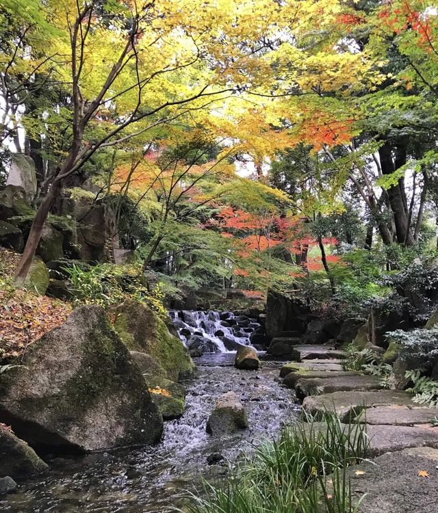 名古屋賞櫻