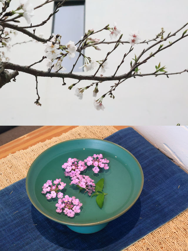 霞浦草木人茶宿