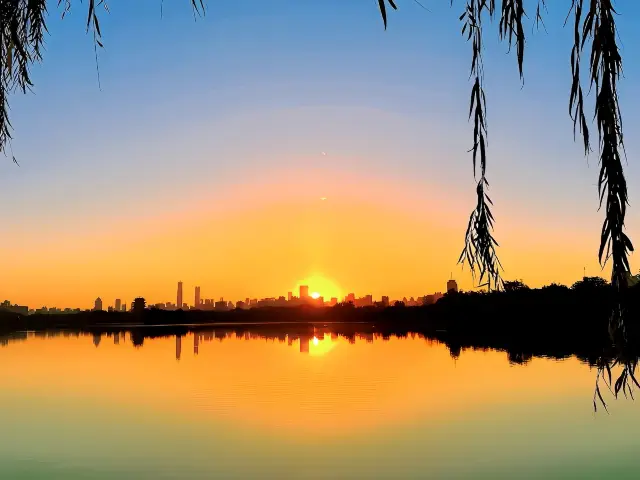 Parents and children together, explore the serene beauty of Daming Lake