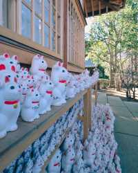 豪德寺｜東京招財貓的神社