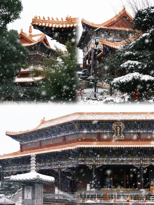 不是去不了哈爾濱，而且貴陽更有性價比