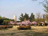 洛陽上陽宮文化園|四季風光各不同