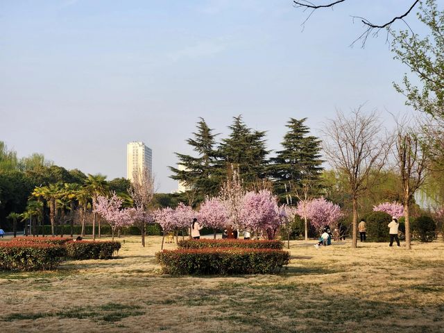 洛陽上陽宮文化園|四季風光各不同