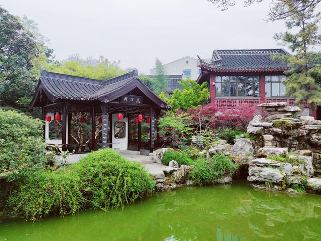 江蘇泰州｜430年歷史的淮左第一園