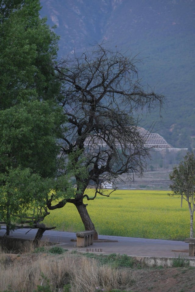 沙溪，下次還來