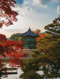 SpringBolossoms at Hyangwonjeong Pavilion✨😍