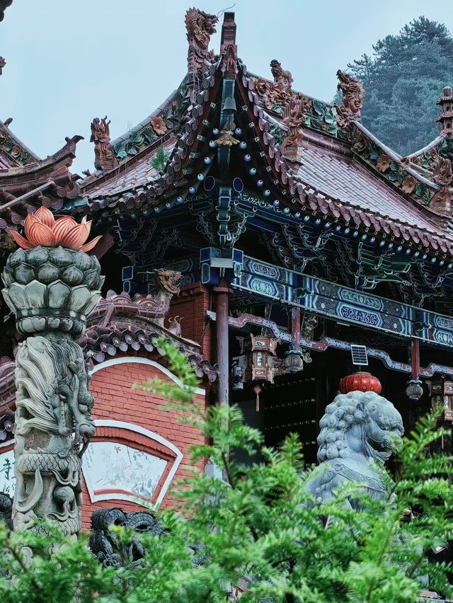原來天水有這麼多好玩的地方有空來打卡