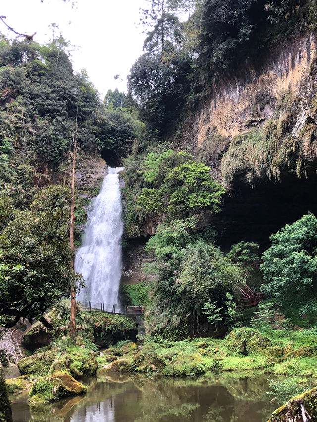 【台灣環島】第九站·杉林溪