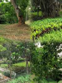 徐聞人民公園最佳遊玩攻略