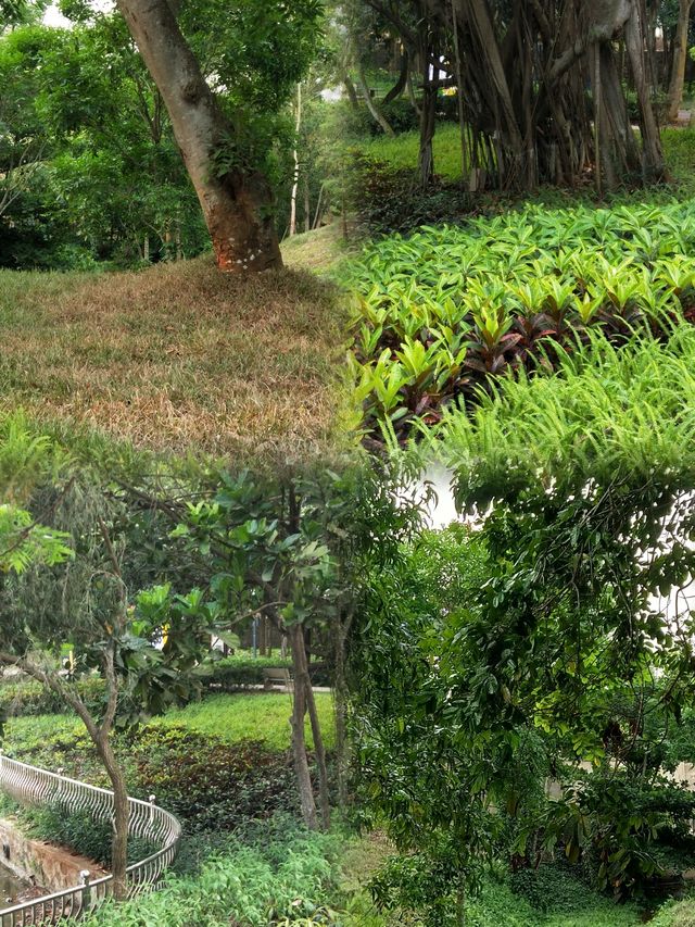 徐聞人民公園最佳遊玩攻略 徐聞人民公園最佳遊玩攻略