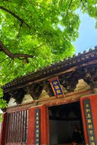 大明寺‖山西歸來不看寺，除了濟源