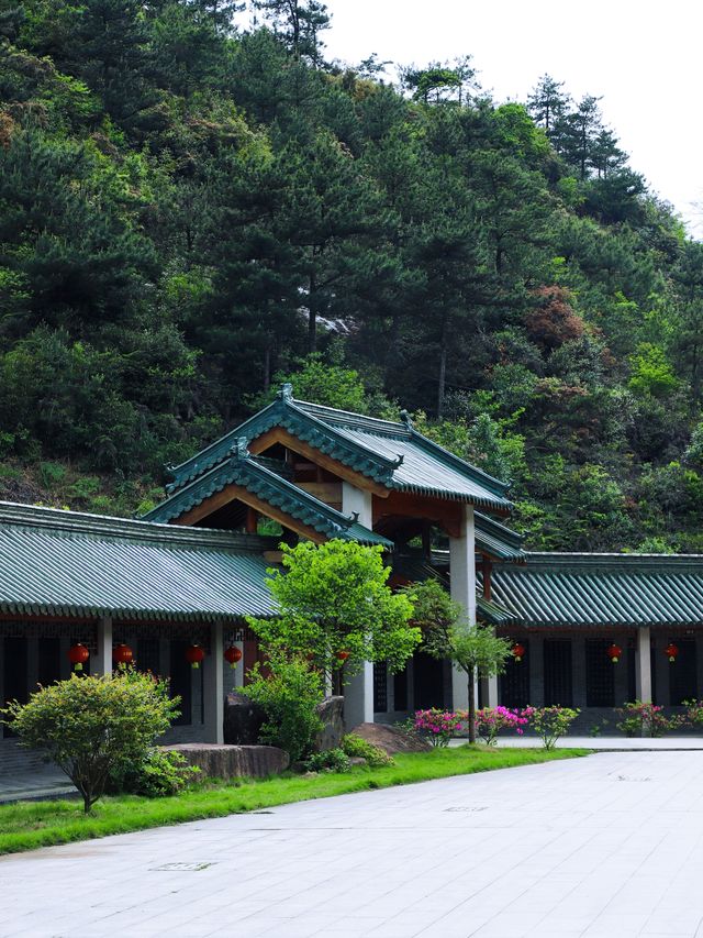 誰懂五月苍南玉苍山美到窒息，仿若仙境