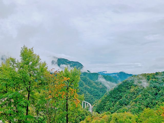 陝西漢中旅遊紫柏山國家森林公園值得打卡