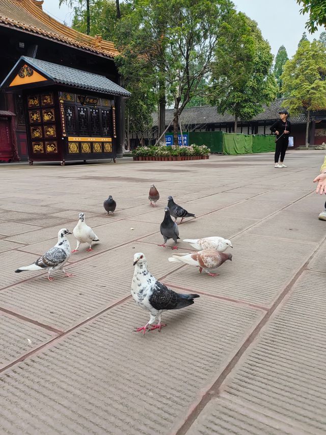 假日寺廟一日遊