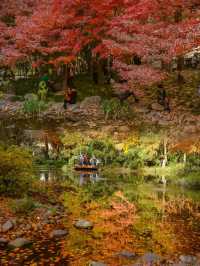 上海市中心的公園都這麼美的嘛！！