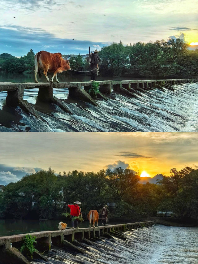 縉雲仙都劇中的仙俠世界果真存在