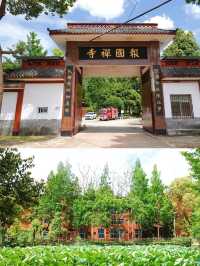 樂至報國寺一-佛在石中