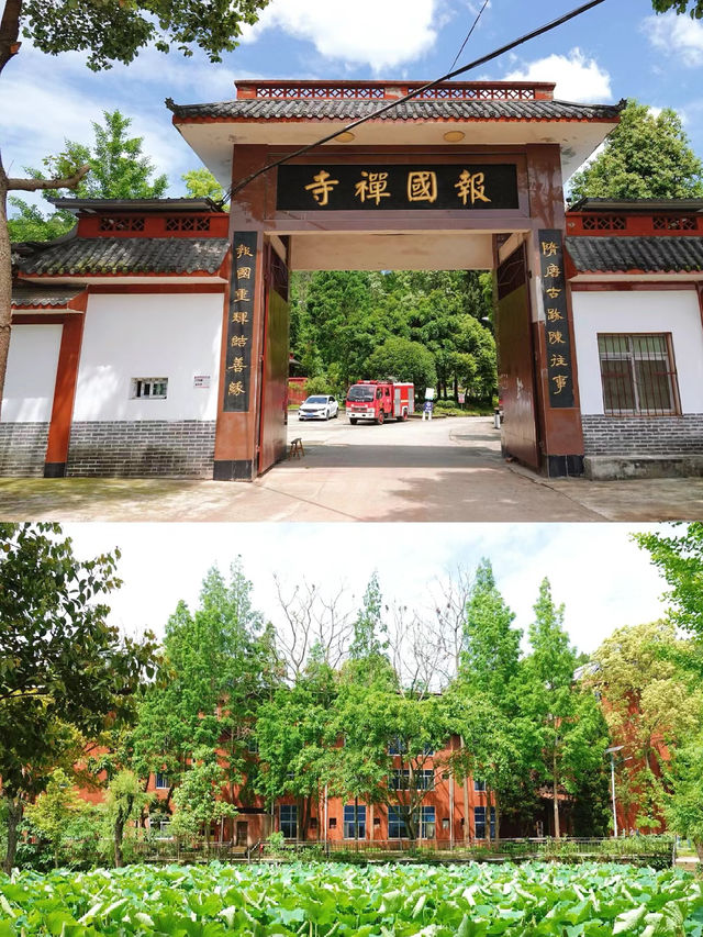 樂至報國寺一-佛在石中