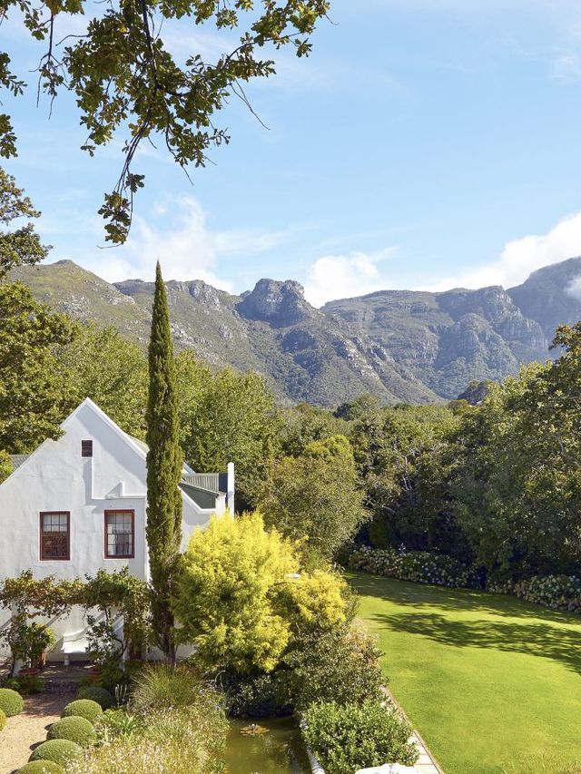 🌟 Cape Town's Hidden Gem: Cellars-Hohenort 🏨✨