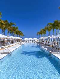 🌴🛏️ Miami's Must-Stay: Hotel South Beach 🌞🌊