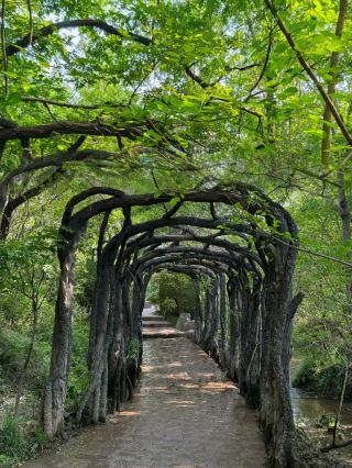 Xuzhou is truly underrated! A day trip to Ma Ling Mountain!