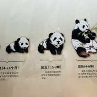 深圳博物館，值得来啊😊