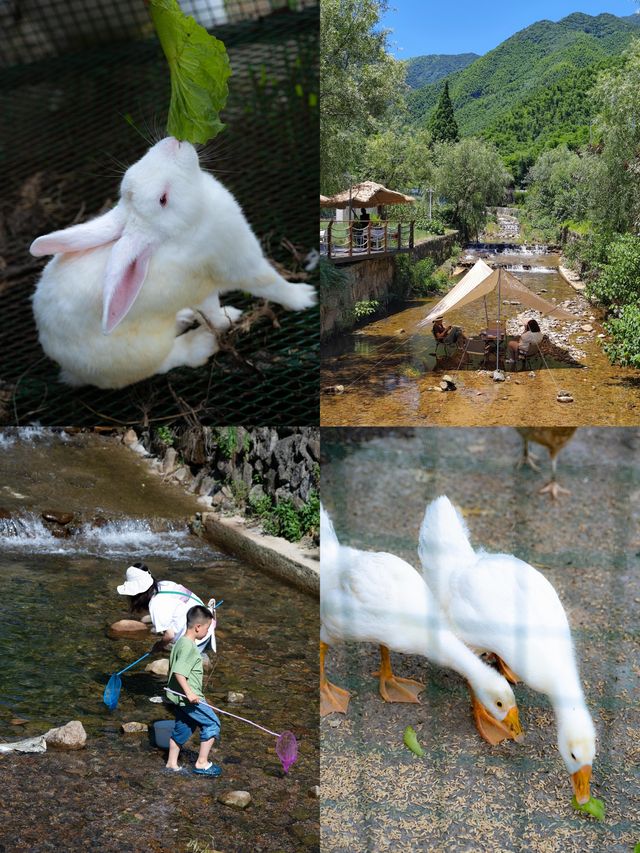 不在雲南真的在安吉發朋友圈被問瘋了