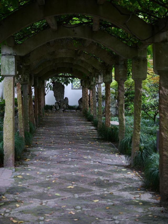 雨後漫步，夏日古典園林景觀大賞