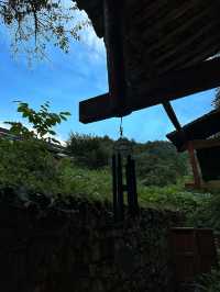 去山谷之間，溪水之中感受夏天的美好！