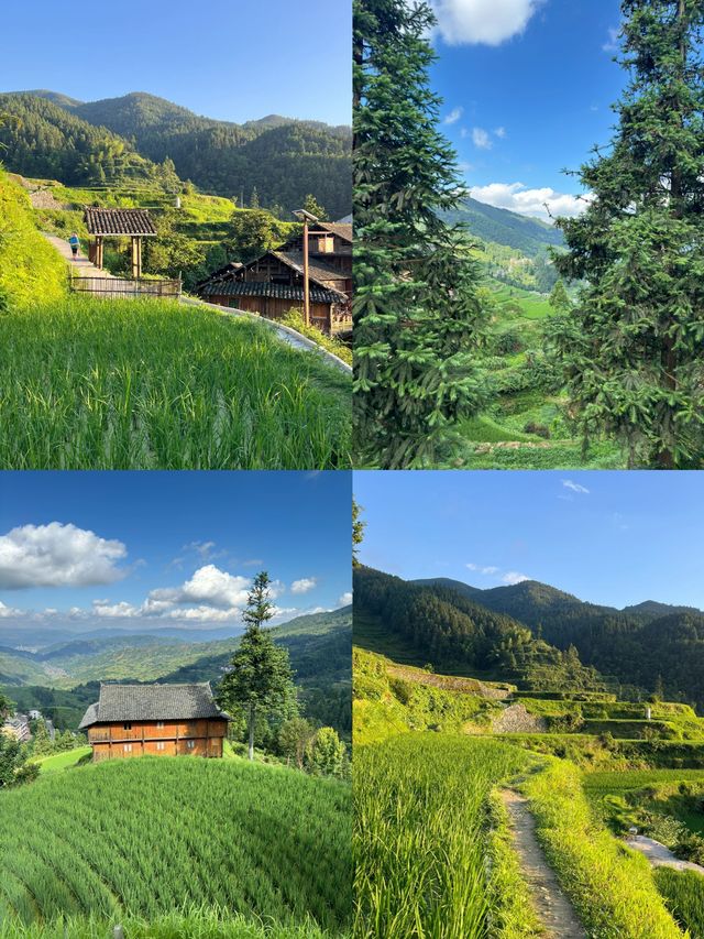 侗族生態博物館-堂安侗寨梯田
