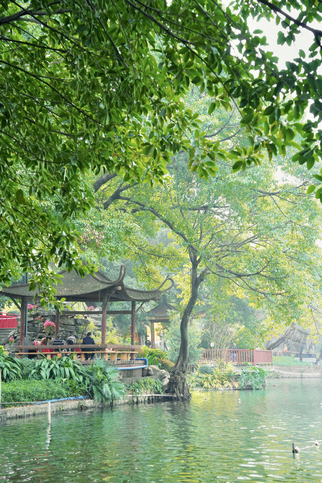 廣州citywalk｜花半天時間走走這西關風味古村