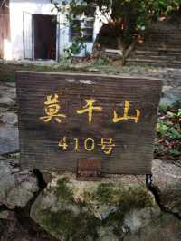 救命到底是谁说莫干山能避暑的