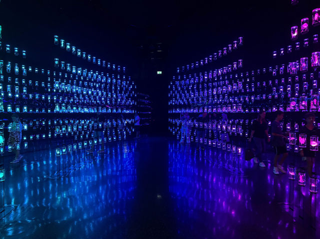 Museum of the Future 