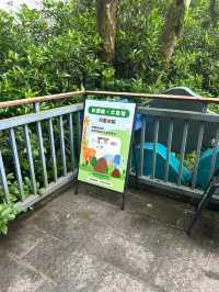 杭州citywalk虎跑公園，動物園，兒童樂園