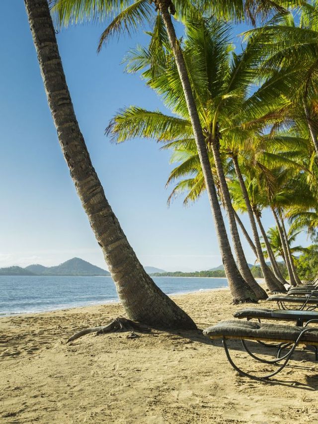 🌴 Beachfront Bliss at Palm Cove 🏖️: Unwind in Paradise!