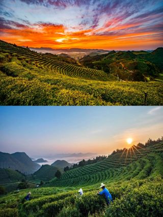 Recommended Attractions Around Danzhai