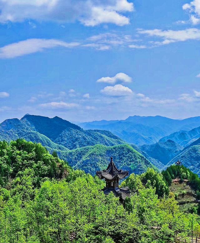 太刺激了，終於爬夠了九龍山
