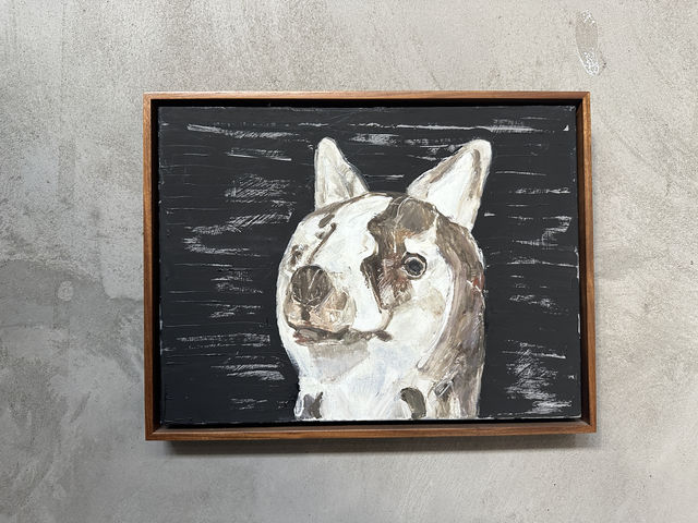 上海免費欣賞展覽|今天是一群可愛可愛的小狗。